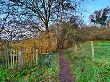 380852
