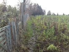 381334