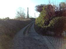 381465