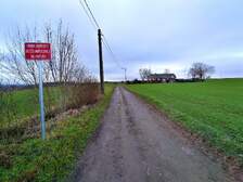 381499