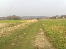 382461