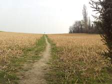 382499