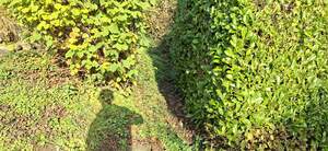 382644