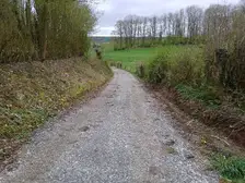 382833