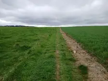 382837