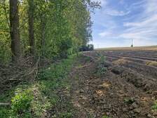 383142