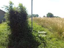 383995