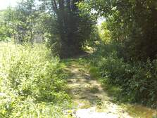 384633