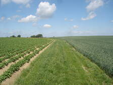 40201