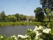 40407