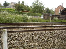 40504