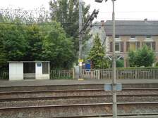 43828