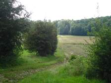 46007