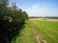 47001
