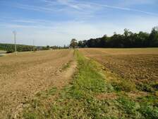 47006