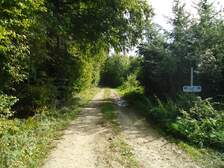 47031