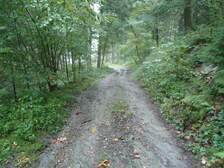 47284