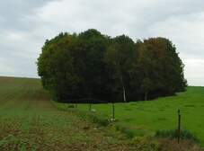 47454