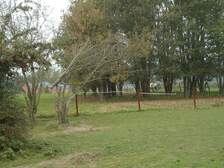 47838