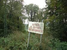 47863