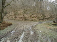 50313