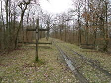 50741