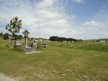 55409