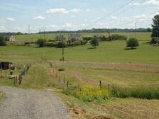 55483