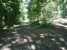 56055