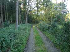 63138
