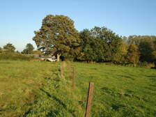 63219