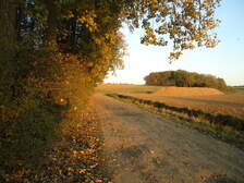 63994