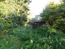 64035