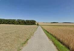 67443