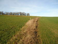 69393