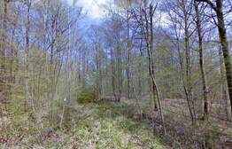 72970