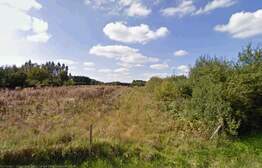 76766