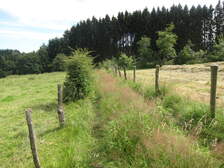 83041