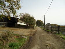 88005