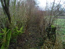 91416