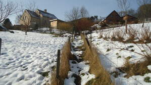 94409