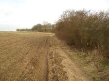 95906